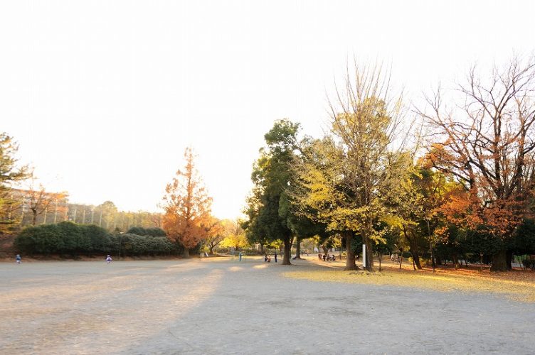 高田馬場にあるシェはハウスの近隣