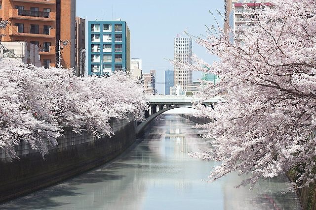 目黒にあるシェアハウスの近隣