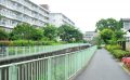 Tokyo, Sharehouse, Xrosshouse, housing, real estate, private room, cheap, living, Japan, study abroad, dormitory, Kugayama,Keio Line,Inokashira line,Kichijoji, Shibuya